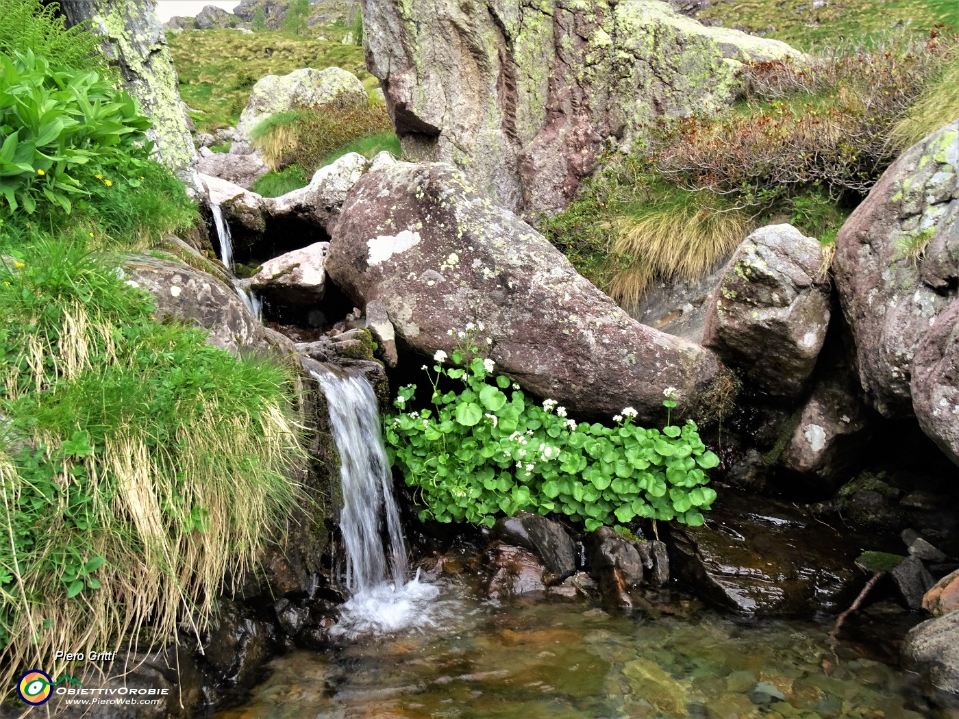 64 Ruscello di Val Pianella alla Baita Nicola.JPG